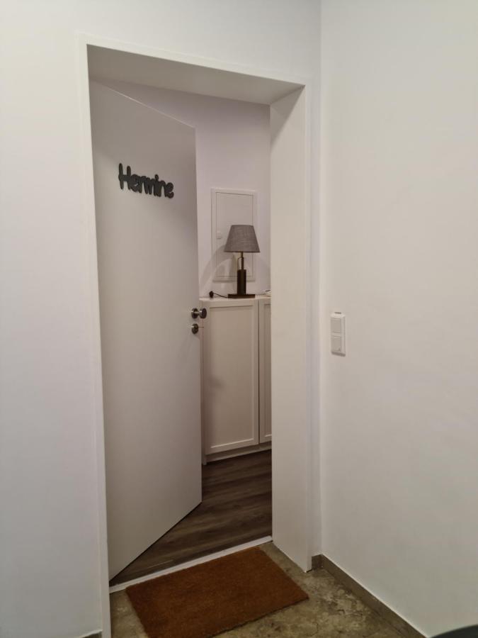 Pilgrims "Hermine" Fewo Mit 3 Schlafzimmern, Balkon, Fast Internet Brilon Εξωτερικό φωτογραφία